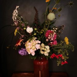 biologisch veldboeket plukboekt biologisch bloemen pluktuin