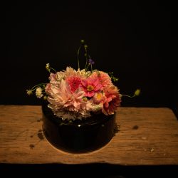 biologisch veldboeket plukboekt biologisch bloemen pluktuin