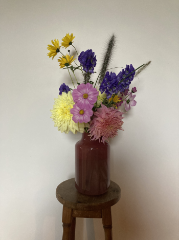 biologisch veldboeket plukboekt biologisch bloemen pluktuin