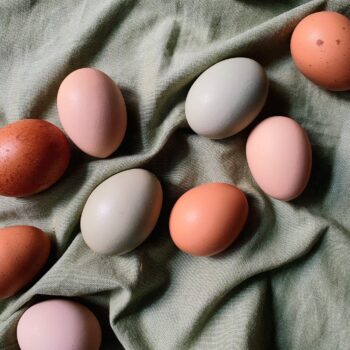 eieren broedeieren easter eggs roze leggers kleurleggers