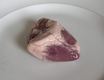 bio lamsvlees duurzaam cuirculair regeneratief natuur schenkel hart inclusief biologisch natuurvlees